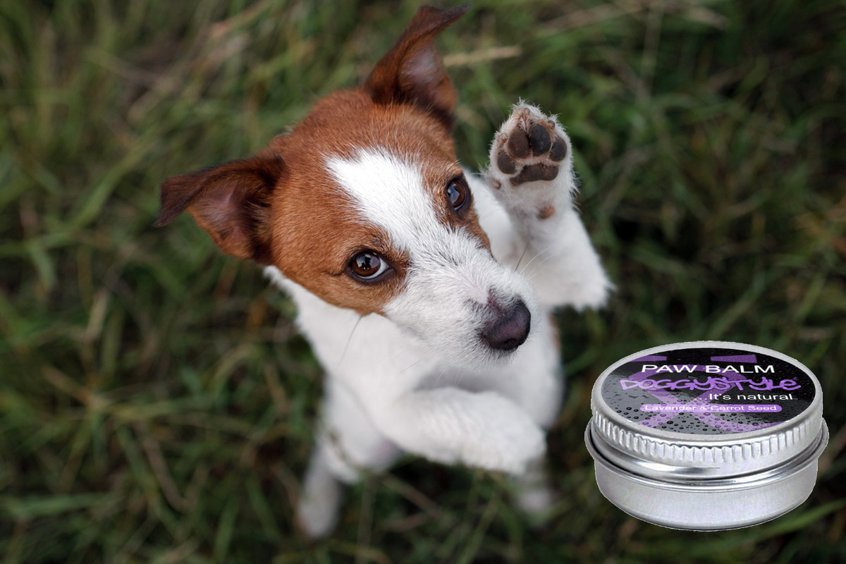 DoggyStyle Paw Balm